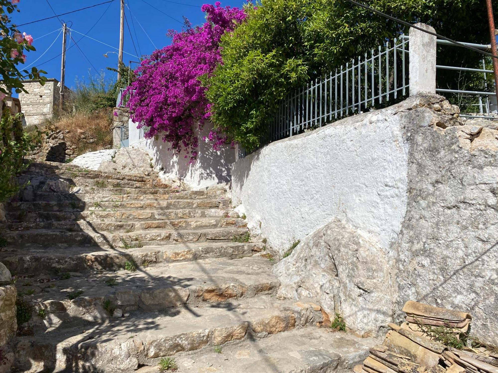 Antiklea Villa Vathy  Bagian luar foto