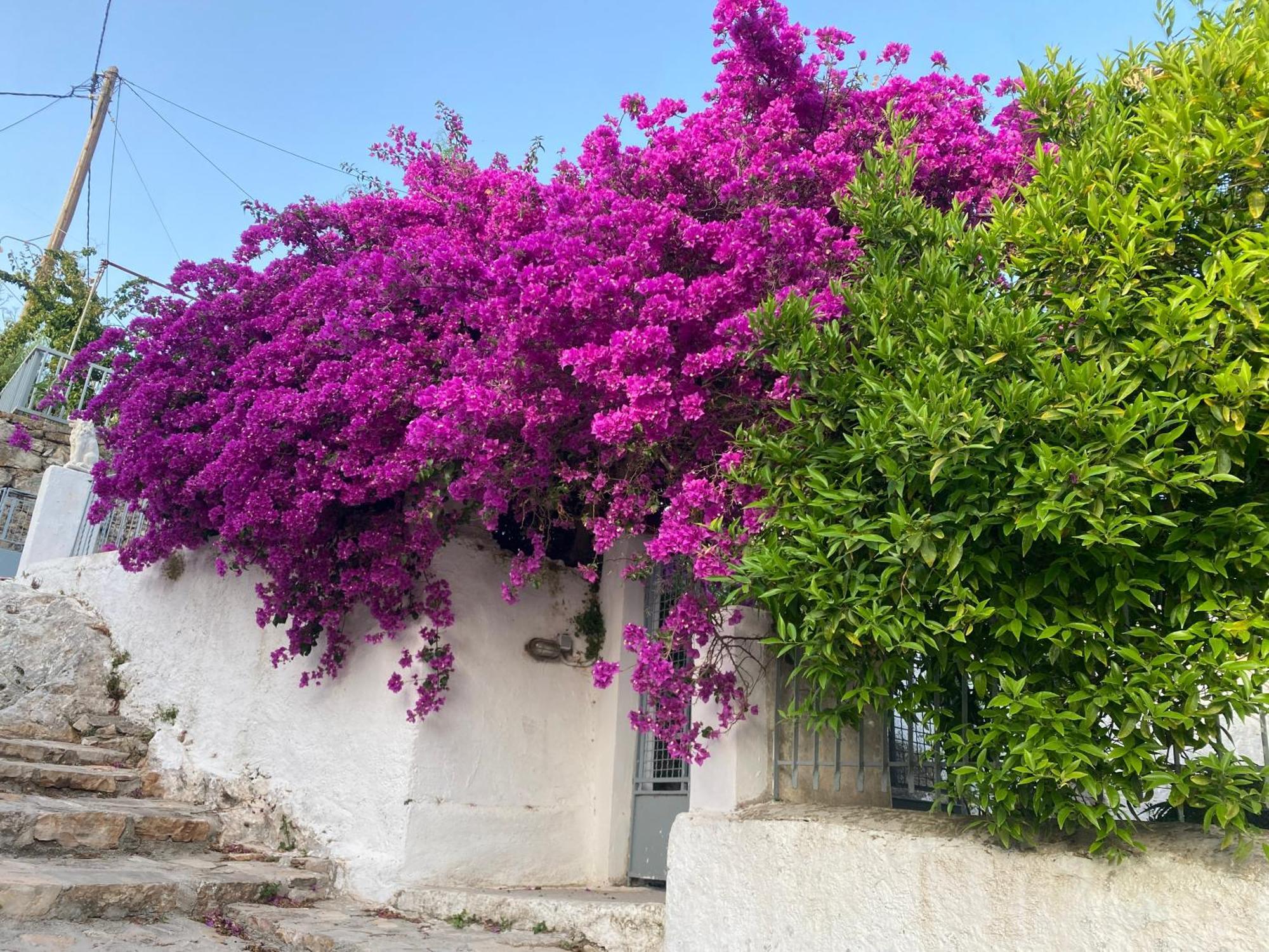 Antiklea Villa Vathy  Bagian luar foto